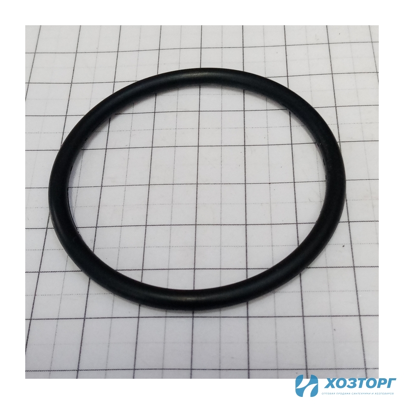 Уплотнительное кольцо бака ПОЛЕСАД ОА-2Л