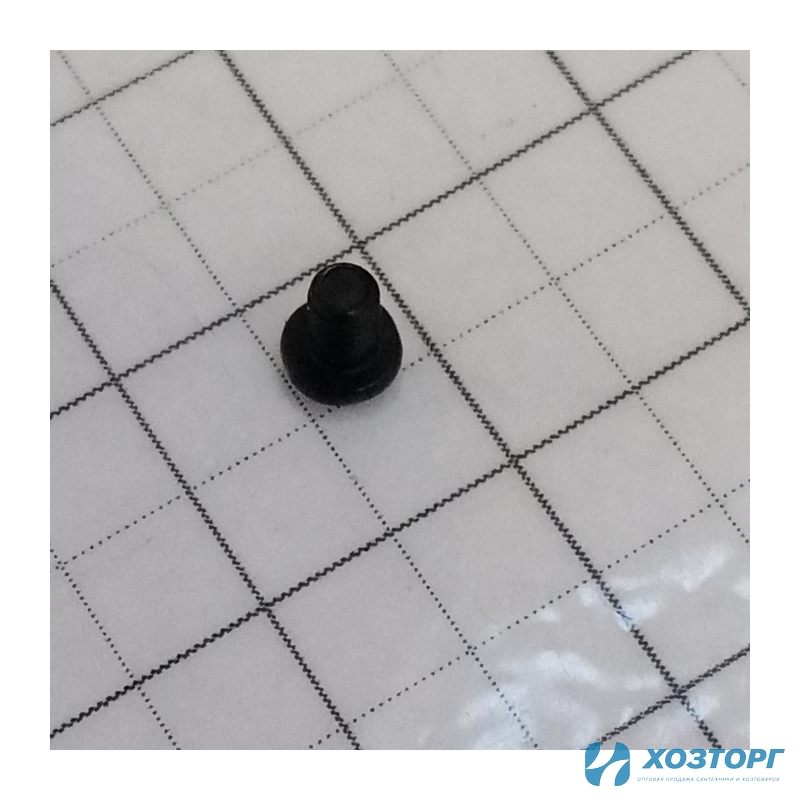 Винт 2,5*4мм ВАРЯГ ПСА, 21В