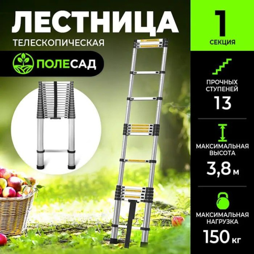 Телескопическая лестница ПОЛЕСАД 3,8 м, масса 11 кг, нагрузка до 150 кг,13 ступеней (1/32)