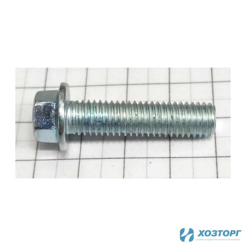 Болт крепления крышки картера 