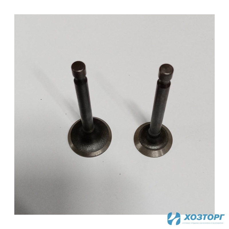 Клапан(впуск+выпуск)  СИЛАЧ БГ-1500