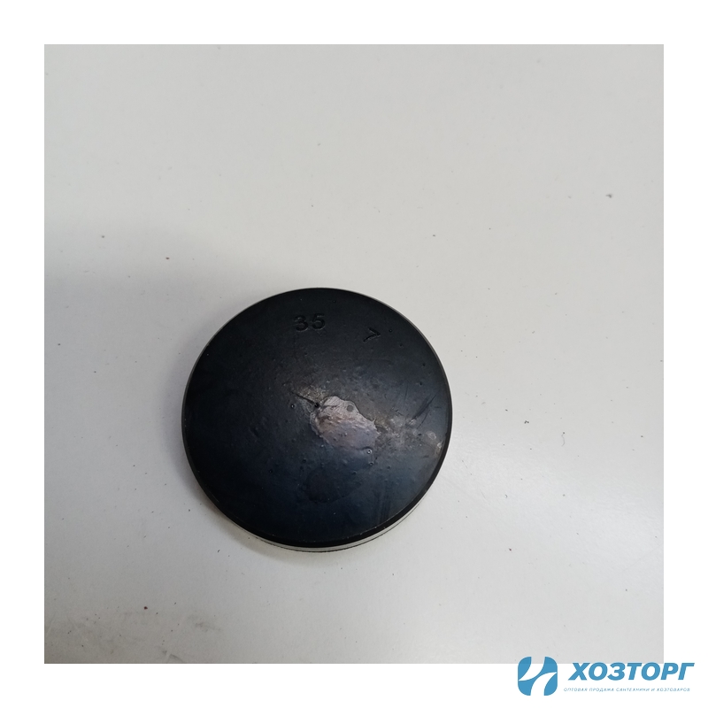 Заглушка маслянная 35х5 СИЛАЧ 704Р Амур