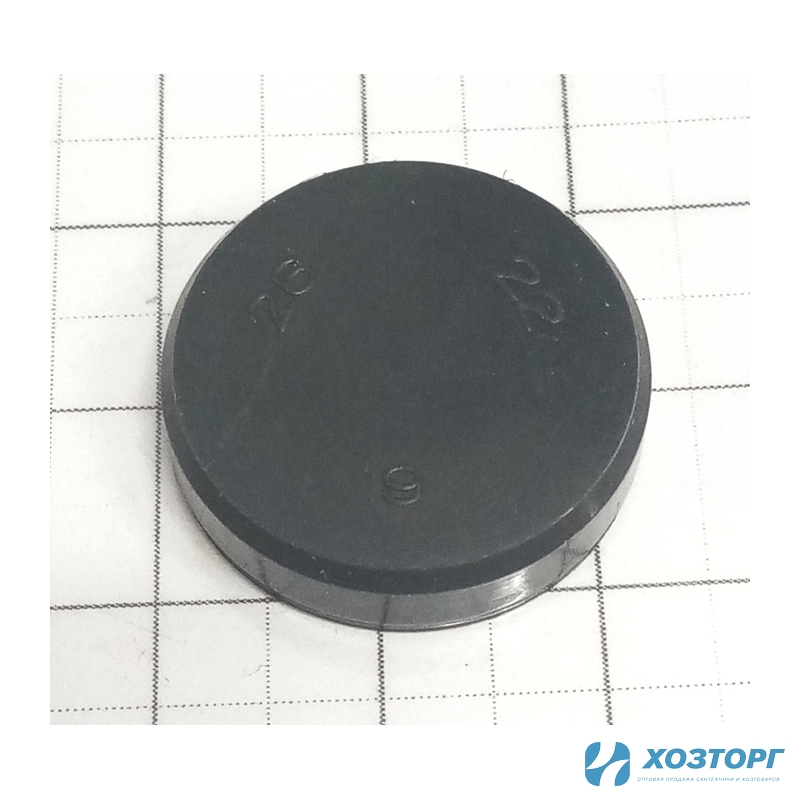 Заглушка 22*6