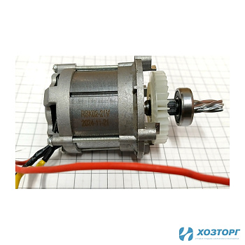 Мотор ВАРЯГ ПС-200\25